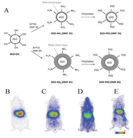 Theranostics Image