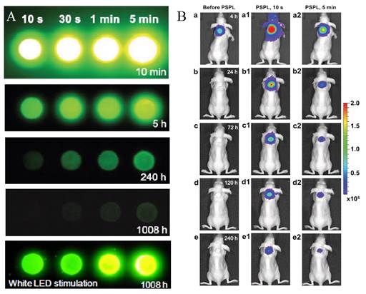 Theranostics Image