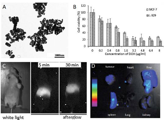 Theranostics Image