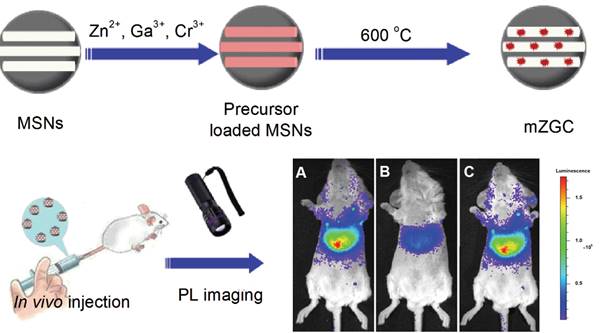 Theranostics Image