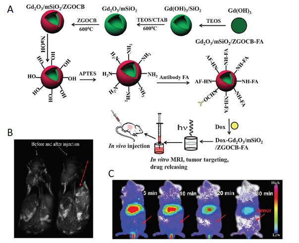 Theranostics Image