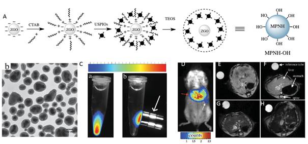 Theranostics Image