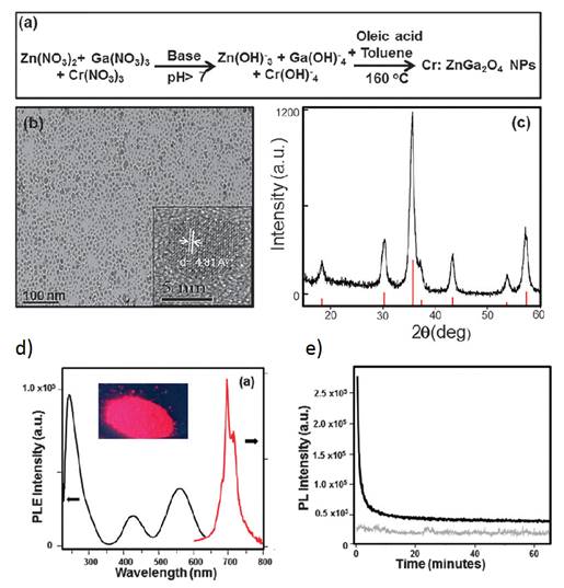 Theranostics Image