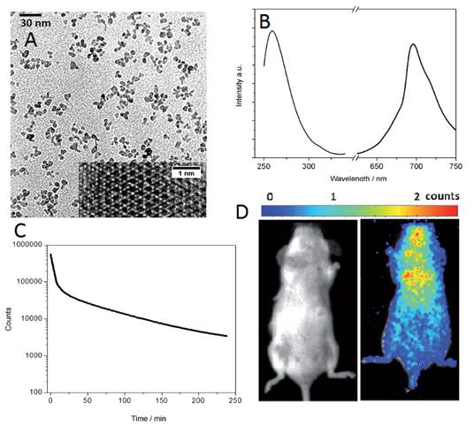 Theranostics Image