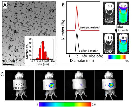 Theranostics Image