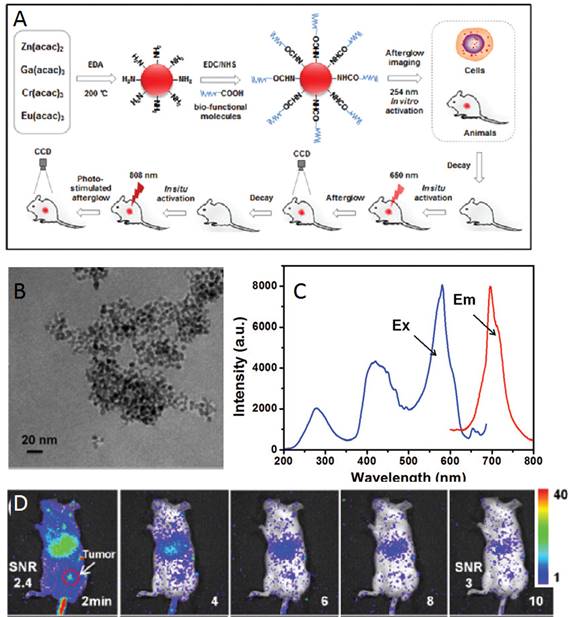 Theranostics Image