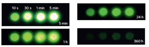 Theranostics Image