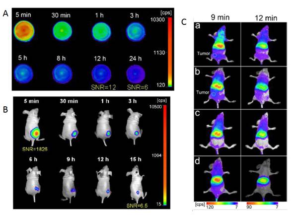 Theranostics Image