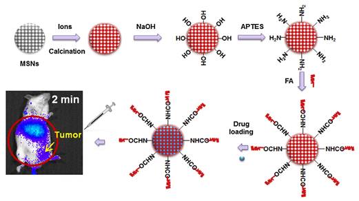 Theranostics Image