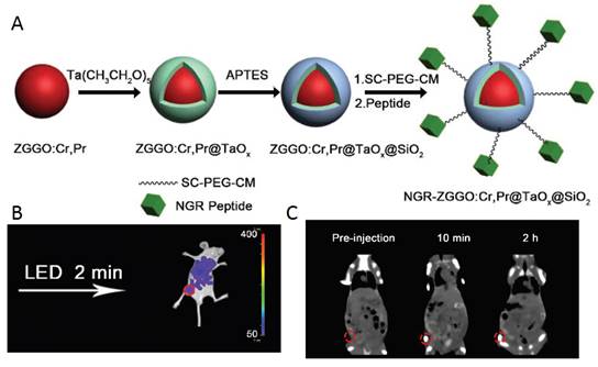 Theranostics Image