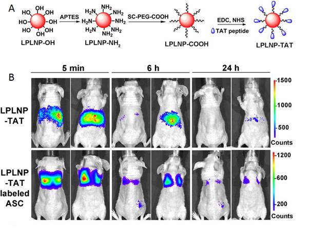 Theranostics Image