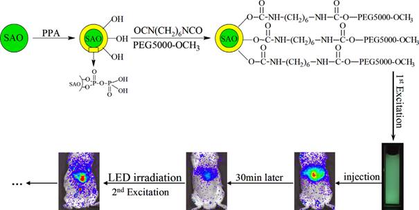 Theranostics Image