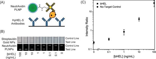 Theranostics Image