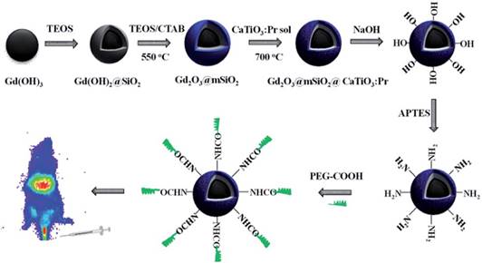 Theranostics Image