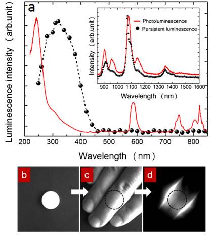 Theranostics Image