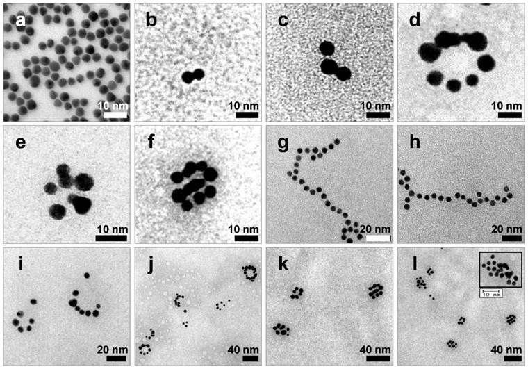 Theranostics Image