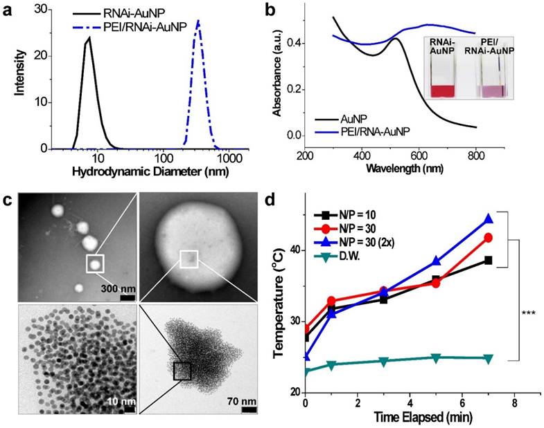 Theranostics Image