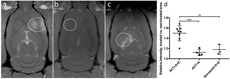 Theranostics Image