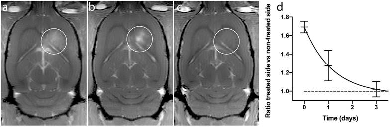 Theranostics Image