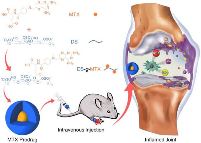 Theranostics Image