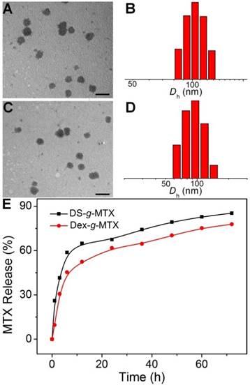 Theranostics Image