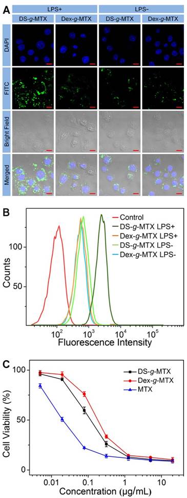 Theranostics Image