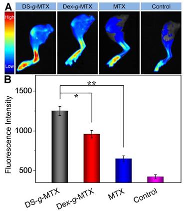 Theranostics Image