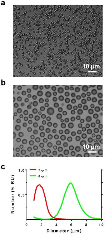 Theranostics Image