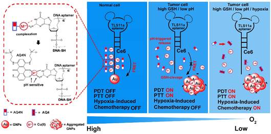 Theranostics Image