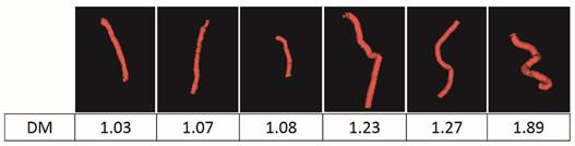 Theranostics Image