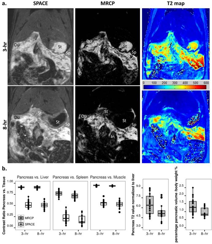 Theranostics Image