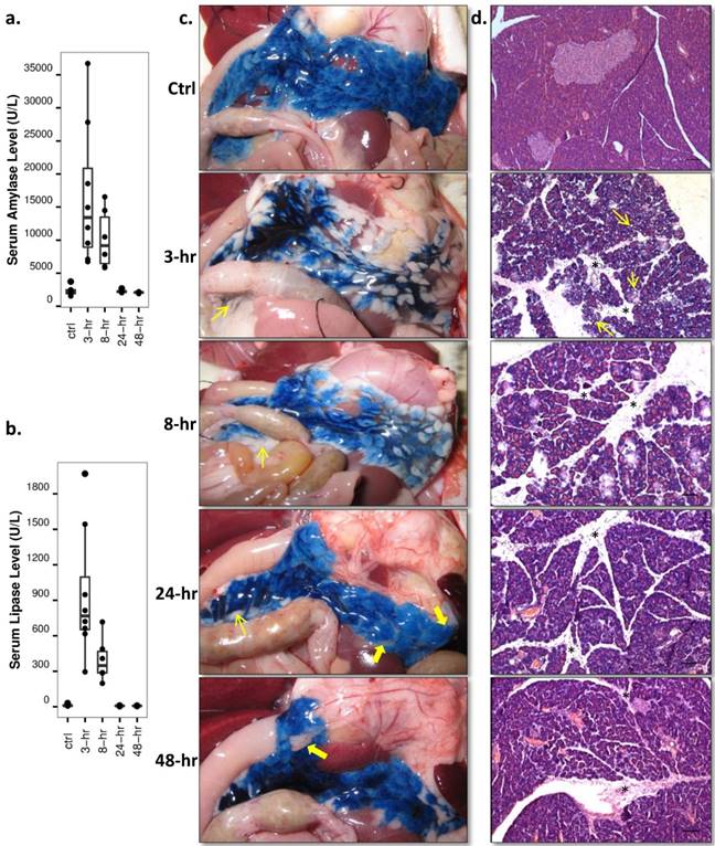 Theranostics Image