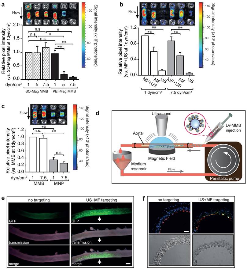 Theranostics Image