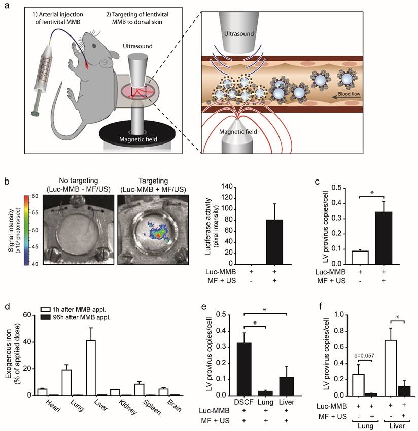 Theranostics Image