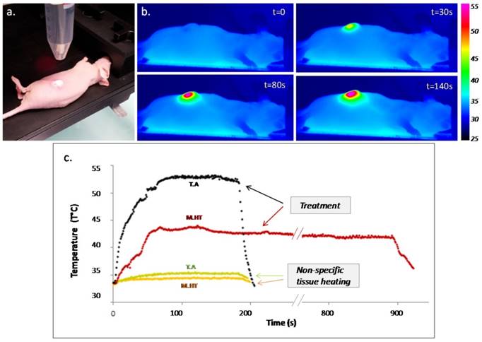 Theranostics Image