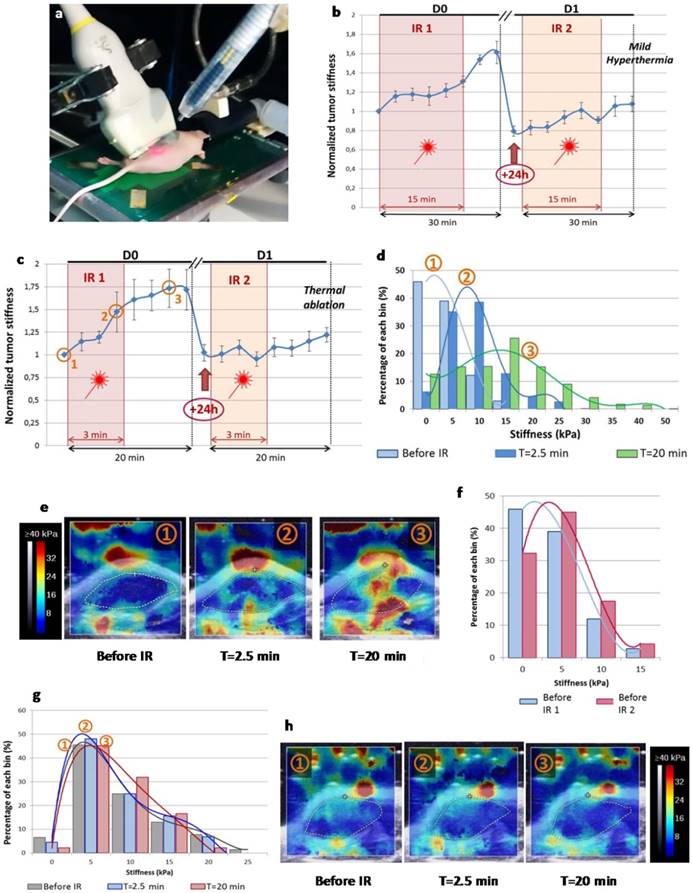 Theranostics Image