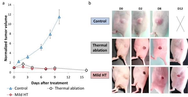 Theranostics Image