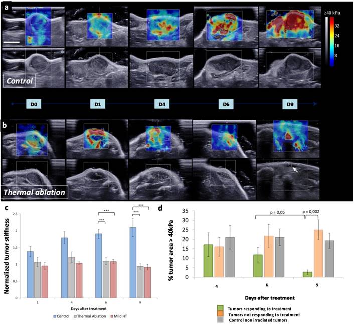 Theranostics Image