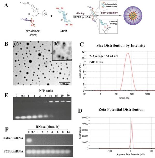 Theranostics Image