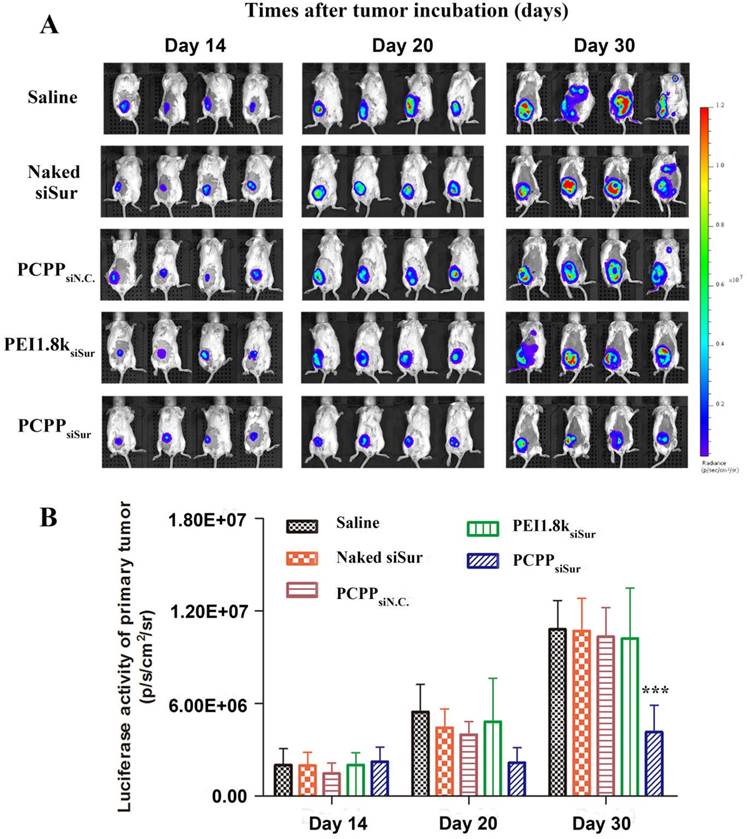 Theranostics Image