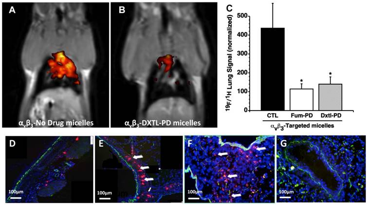 Theranostics Image