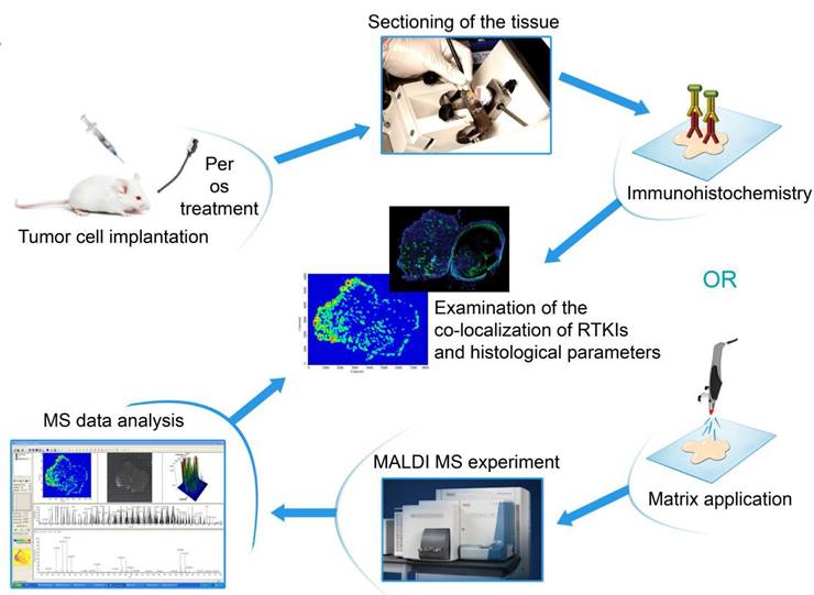 Theranostics Image