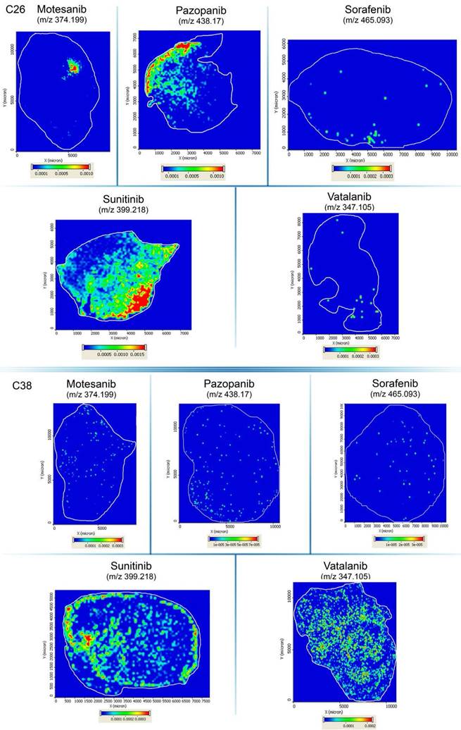 Theranostics Image