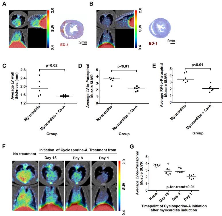 Theranostics Image