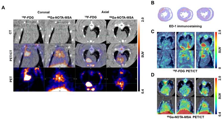 Theranostics Image