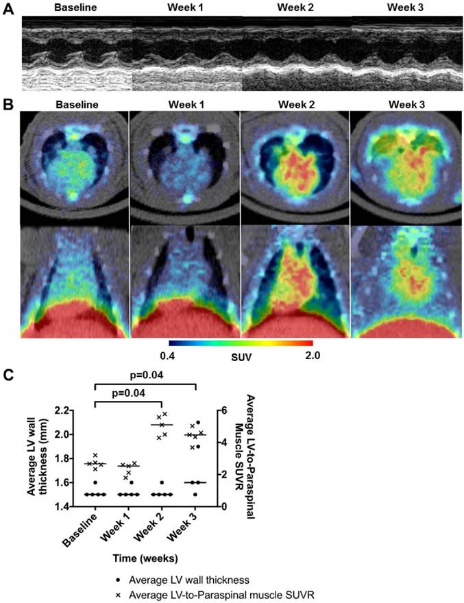 Theranostics Image