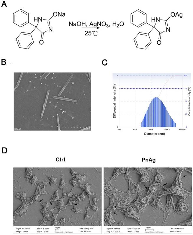 Theranostics Image