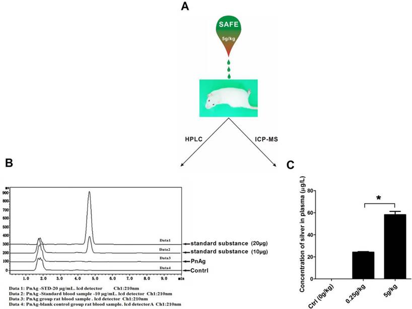 Theranostics Image