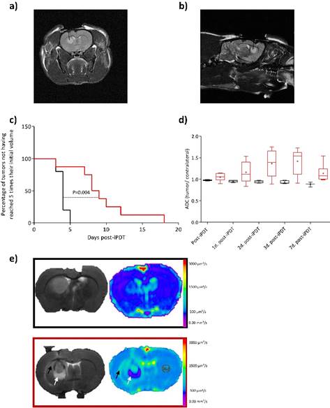 Theranostics Image