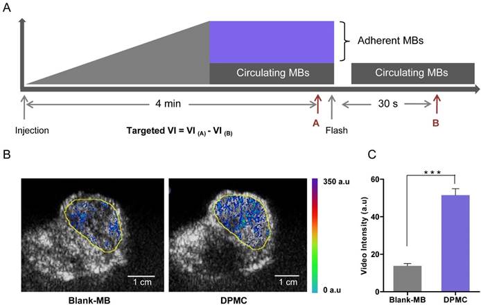 Theranostics Image